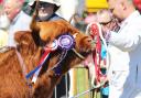 The Central and West Fife Show will take place this Saturday, June 3, in Crossgates. Image: Central and West Fife Show