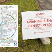 Restrictions remain in place after a bird flu outbreak in Crossgates.
