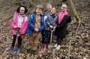 Branching out. Pupils at Cardenden Primary School have been planting trees.