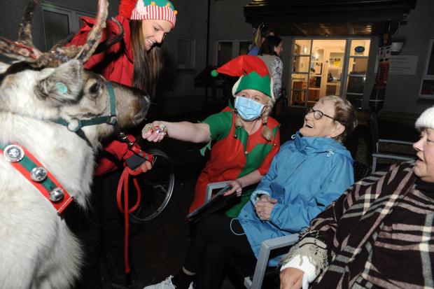 Santa's reindeer paid a visit to care home residents in what was a 'special event'. Photo: David Wardle.