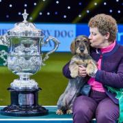 Best in Show winner Kim McCalmont, with Maisie on the fourth day of Crufts 2020. Picture via PA.