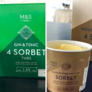 M&S launches Gin & Tonic and Passion Star Martini sorbets. Credit: M&S