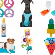 Have fun and keep pets cool with the new Pets at Home summer range. Pictures: Pets at Home