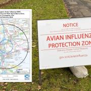 A 3km protection zone and 10km surveillance zone has been set up after a bird flu outbreak in Crossgates.