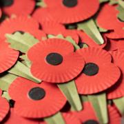 Remembrance Day is on the 11th of November