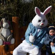 The Easter Egg event at Fairy Wood saw 600 kids in attendance.