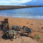 Councillors hope the move will help keep beaches clean and protect the marine environment.