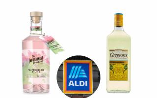 Aldi launches new spirits range in time for summer, including a watermelon and lime gin (PA/Aldi)