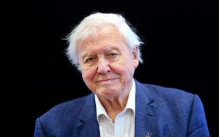 Mammals, a new BBC One series presented by Sir David Attenborough, begins this weekend